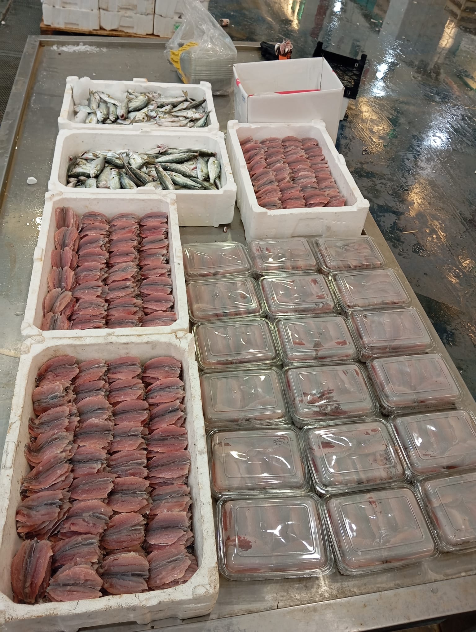 Okyanus Balıkçılık 